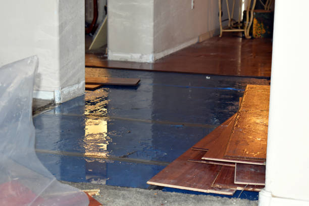 Professional Water Extraction technician working in Medimont, ID